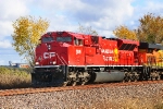 CP 7005